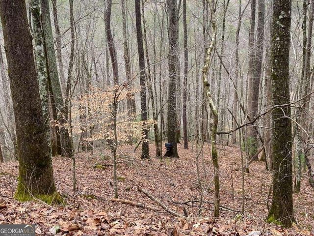 4AC Scenic Way 3833, Ellijay, GA 30540
