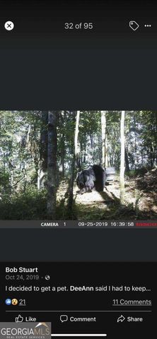 4AC Scenic Way 3833, Ellijay, GA 30540