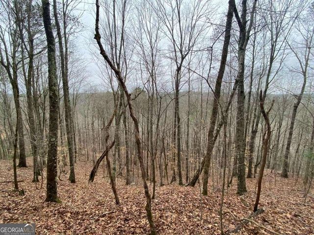 4AC Scenic Way 3833, Ellijay, GA 30540