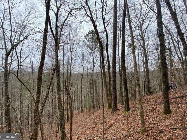 4AC Scenic Way 3833, Ellijay, GA 30540