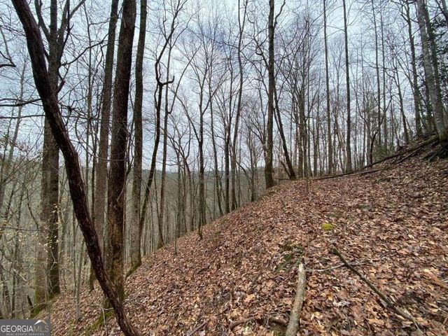 4AC Scenic Way 3833, Ellijay, GA 30540