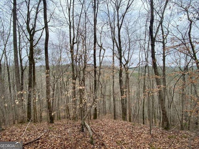 4AC Scenic Way 3833, Ellijay, GA 30540