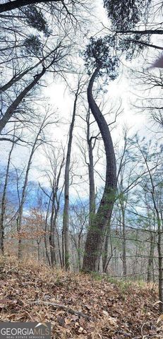 4AC Scenic Way 3833, Ellijay, GA 30540