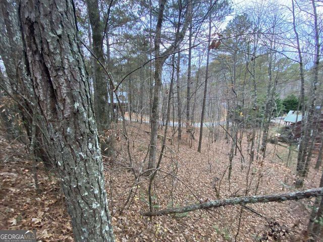4AC Scenic Way 3833, Ellijay, GA 30540