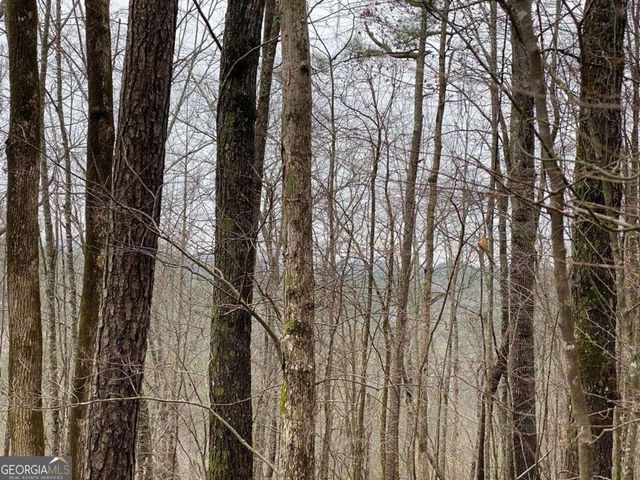 4AC Scenic Way 3833, Ellijay, GA 30540