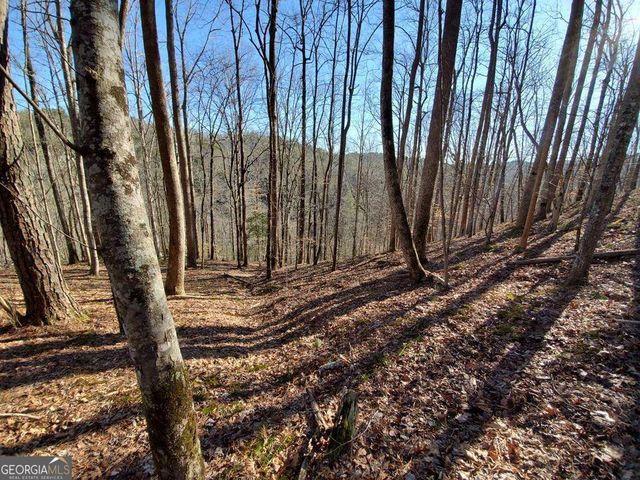 4AC Scenic Way 3833, Ellijay, GA 30540