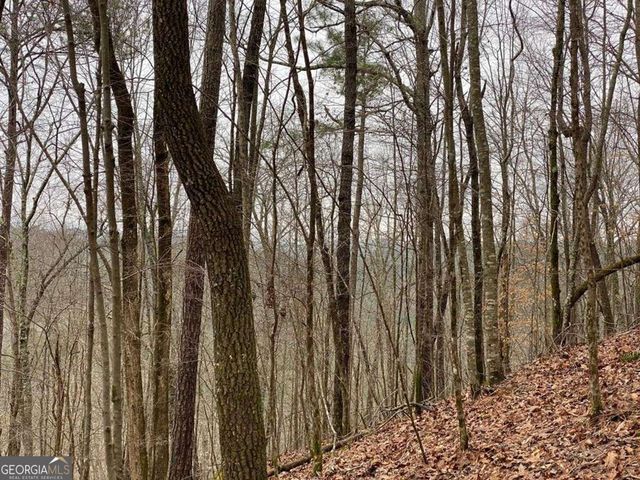 4AC Scenic Way 3833, Ellijay, GA 30540