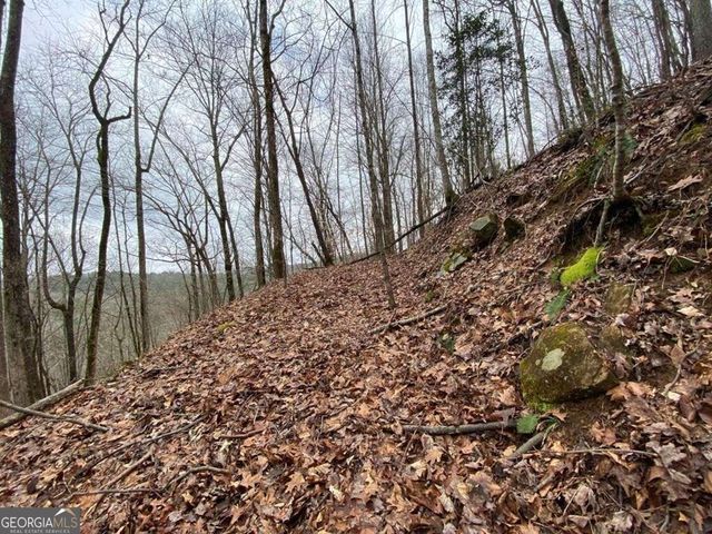 4AC Scenic Way 3833, Ellijay, GA 30540