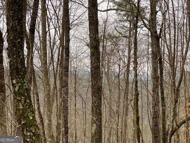 4AC Scenic Way 3833, Ellijay, GA 30540