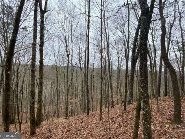 4AC Scenic Way 3833, Ellijay, GA 30540
