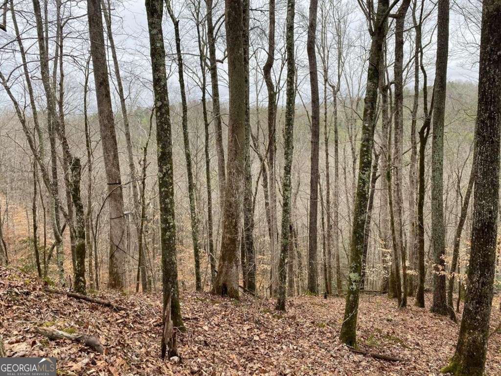 4AC Scenic Way 3833, Ellijay, GA 30540