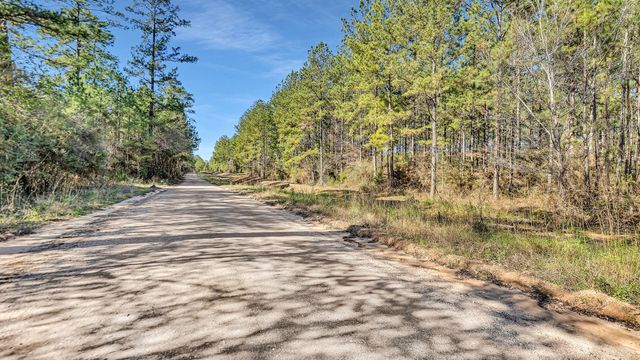 10999 Ruger Road, Willis, TX 77378