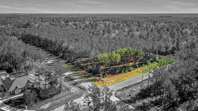 10999 Ruger Road, Willis, TX 77378