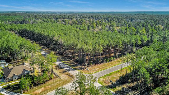 10999 Ruger Road, Willis, TX 77378