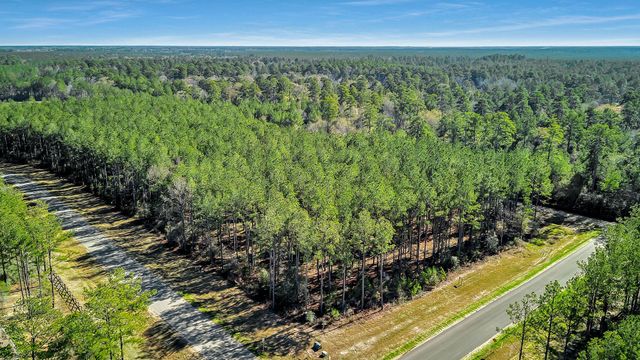10999 Ruger Road, Willis, TX 77378