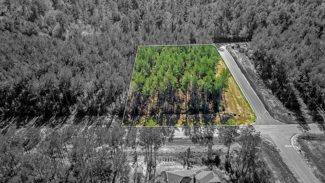 10999 Ruger Road, Willis, TX 77378
