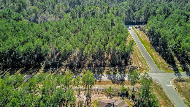 10999 Ruger Road, Willis, TX 77378