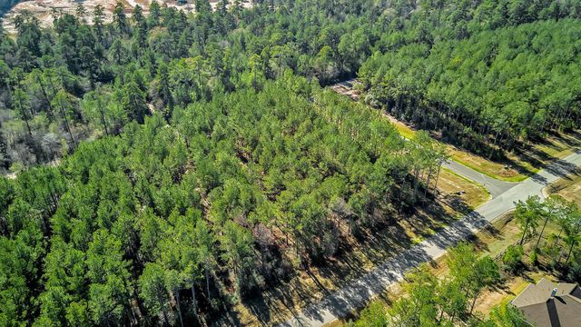 10999 Ruger Road, Willis, TX 77378