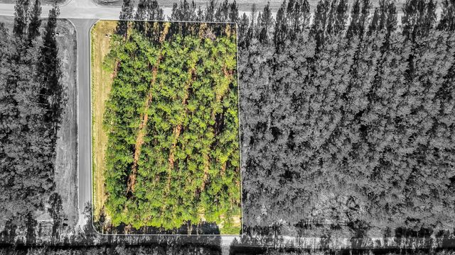 10999 Ruger Road, Willis, TX 77378