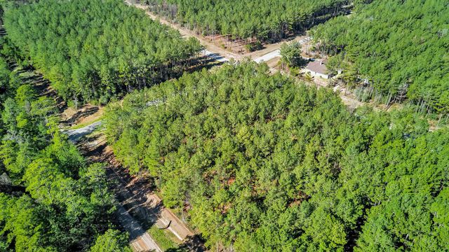 10999 Ruger Road, Willis, TX 77378