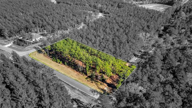 10999 Ruger Road, Willis, TX 77378