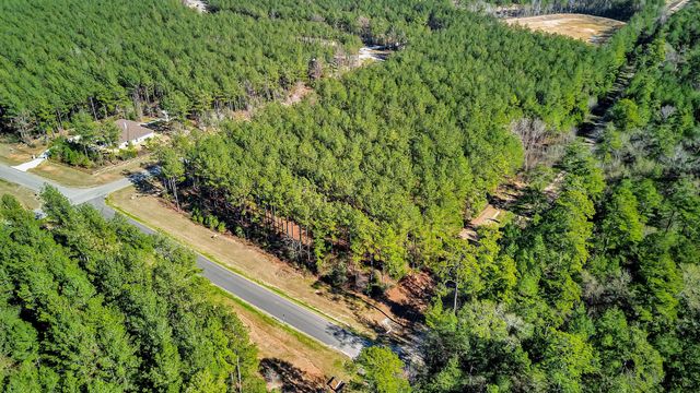 10999 Ruger Road, Willis, TX 77378