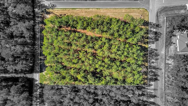 10999 Ruger Road, Willis, TX 77378