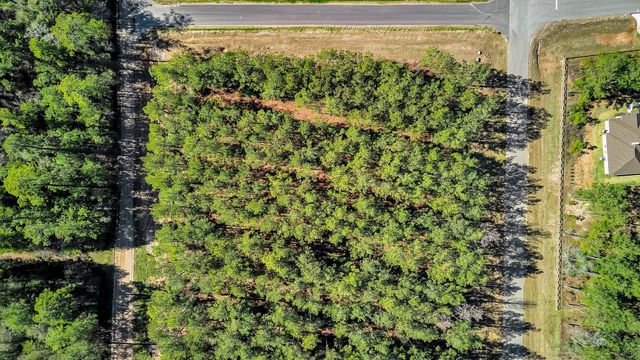 10999 Ruger Road, Willis, TX 77378