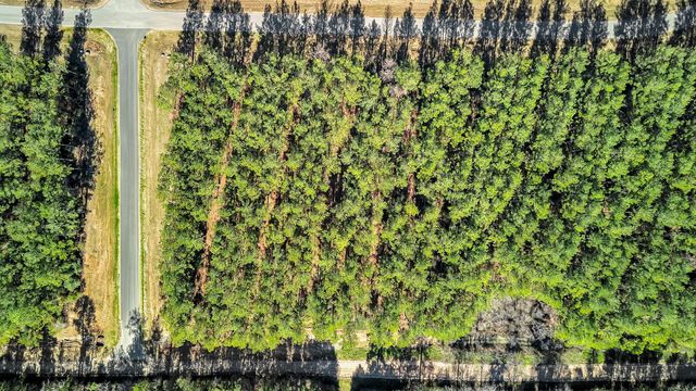 10999 Ruger Road, Willis, TX 77378
