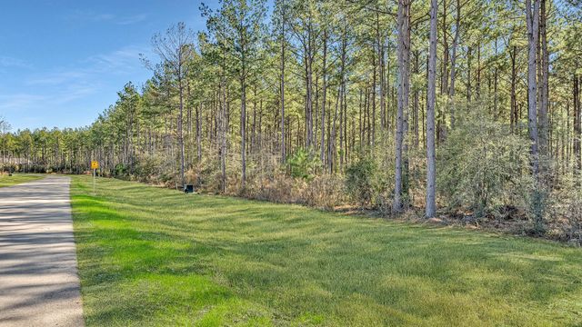 10999 Ruger Road, Willis, TX 77378