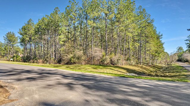 10999 Ruger Road, Willis, TX 77378