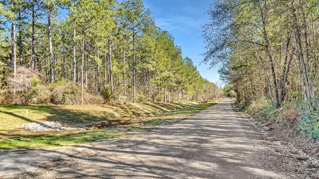 10999 Ruger Road, Willis, TX 77378