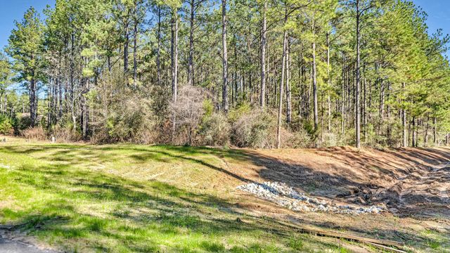 10999 Ruger Road, Willis, TX 77378