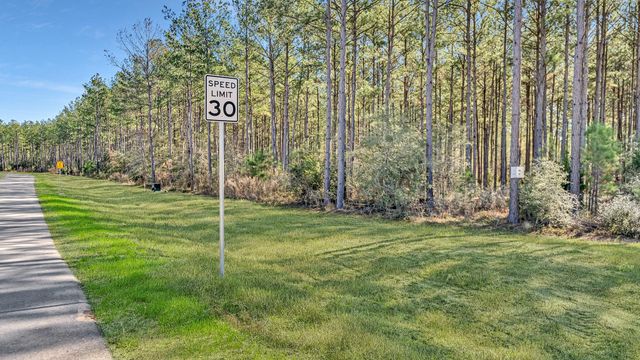 10999 Ruger Road, Willis, TX 77378