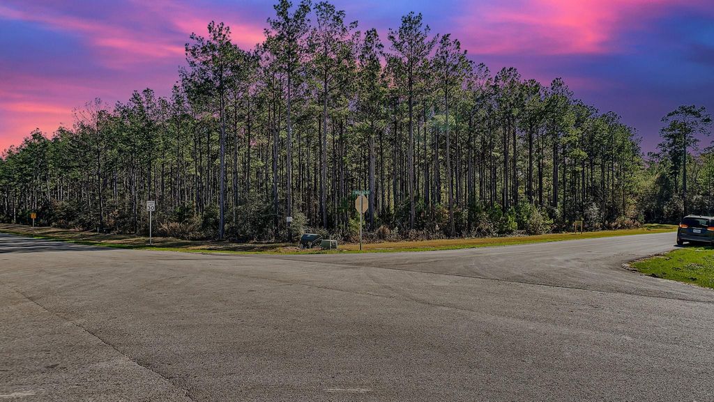10999 Ruger Road, Willis, TX 77378