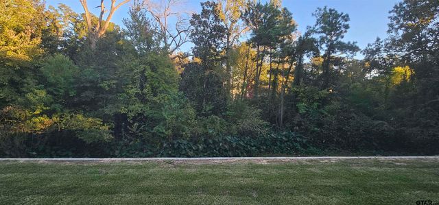 221 Brookside Dr, Hideaway, TX 75771