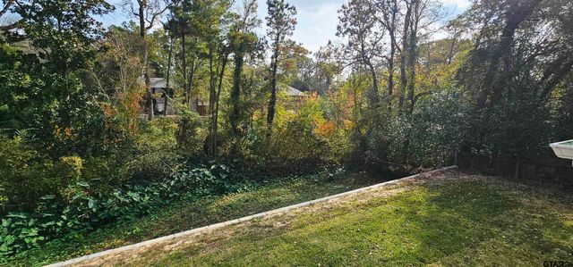 221 Brookside Dr, Hideaway, TX 75771