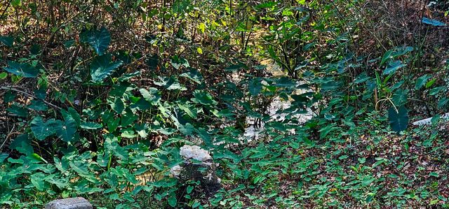 221 Brookside Dr, Hideaway, TX 75771