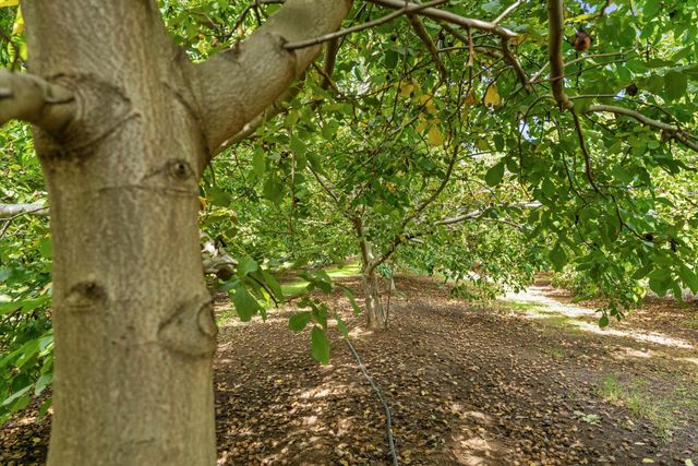 7306 Van Allen Rd, Stockton, CA 95215