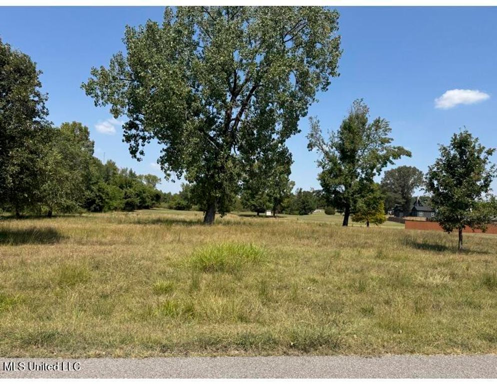 834 Rodeo Way, Nesbit, MS 38651