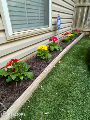 236 Dalton Place Way, Knoxville, TN 37912