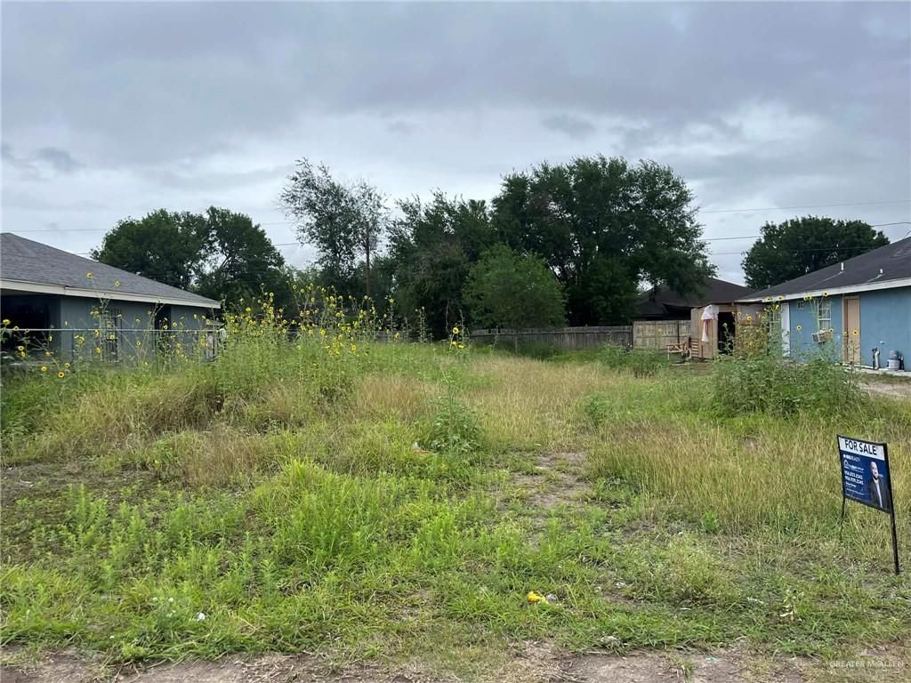 730 Hernandez Drive, Donna, TX 78537