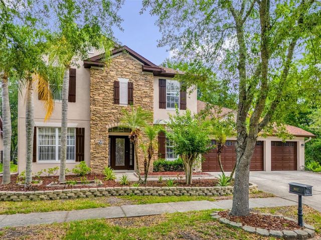 16117 COLCHESTER PALMS DRIVE, Tampa, FL 33647