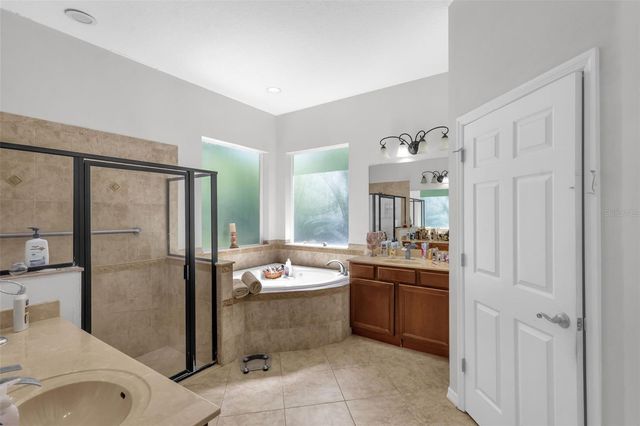 16117 COLCHESTER PALMS DRIVE, Tampa, FL 33647