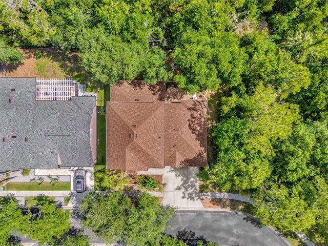 16117 COLCHESTER PALMS DRIVE, Tampa, FL 33647