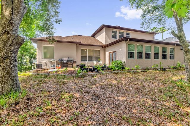 16117 COLCHESTER PALMS DRIVE, Tampa, FL 33647