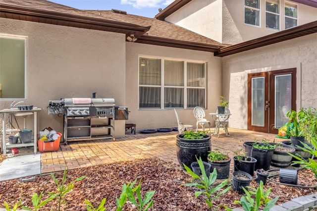 16117 COLCHESTER PALMS DRIVE, Tampa, FL 33647