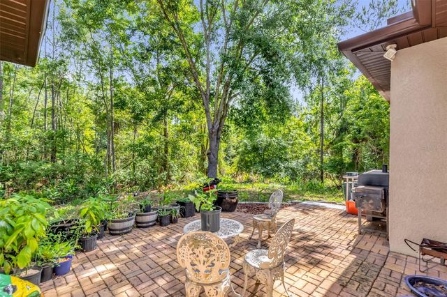 16117 COLCHESTER PALMS DRIVE, Tampa, FL 33647