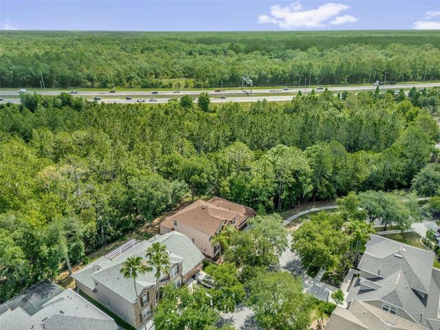 16117 COLCHESTER PALMS DRIVE, Tampa, FL 33647
