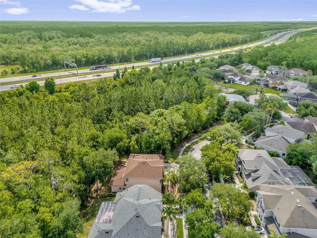 16117 COLCHESTER PALMS DRIVE, Tampa, FL 33647